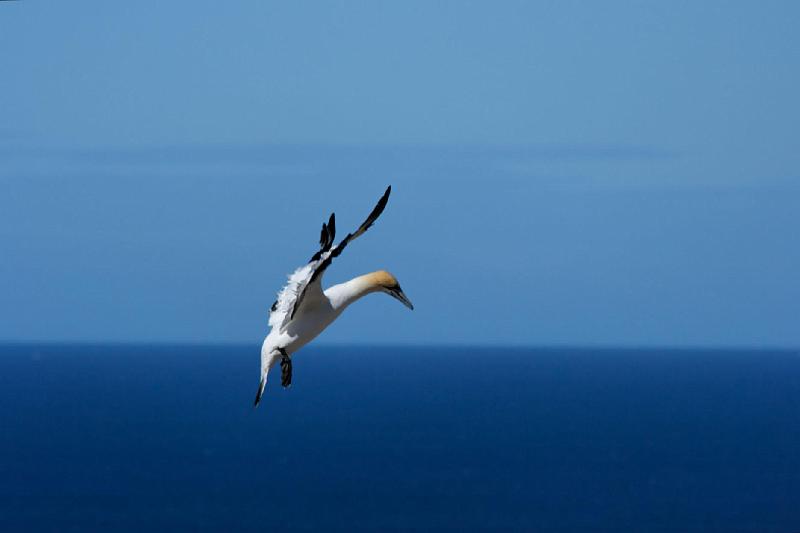 2007 04 14 053_DXO.jpg